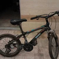 دوچرخه نمره ۲۰ دنده ای
