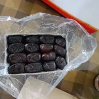 خرمای درجه ۱ محصول امسال به قیمت کشاورز
