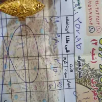 طلا نو|جواهرات|سراوان, |دیوار