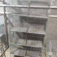 قفس پرون|لوازم جانبی حیوانات|تنکابن, |دیوار