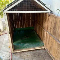 قفس|لوازم جانبی حیوانات|بم, |دیوار