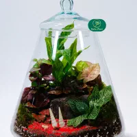 گیاه شیشه ای مدل دماوند