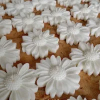 گیفت شمع بابونه