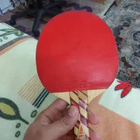 راکت پینگ پونگ گلد کاپ