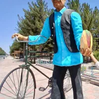 فروش نهال پسته ممتاز در گرگاب|خدمات باغبانی و درختکاری|شاهین‌شهر, گرگاب|دیوار