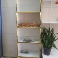 جا شکلاتی|فروشگاه و مغازه|اهواز, فدک|دیوار