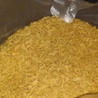 فروش سویا فله ای ۲ کیلو
