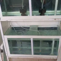 فروش آکواریوم بزرگ