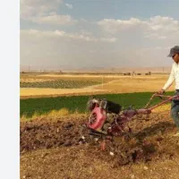 آب زعفرانتان را با ما هماهنگ کنید برای تیلر زدن