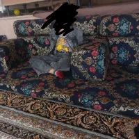 تشک خلیجی بسیار زیبا