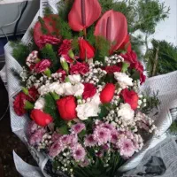 18شاخه گل مهر