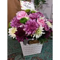 یک عدد گوشواره طلا گم شده