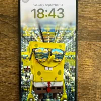 ایفون ۱۴ پرو مکس با ریجستر