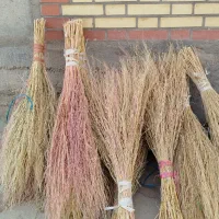 جارو دستی|لوازم نظافت|میاندوآب, |دیوار