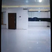 نظافت  تظمینی