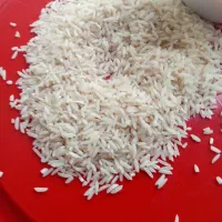 برنج دم سیاه