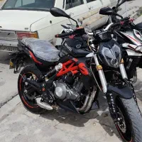 بنلی 300نیوفیس درحد خشک
