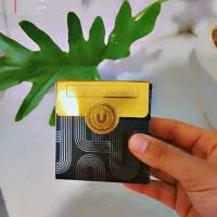 پنکک لاکچری کوین