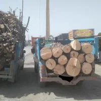 تیری درختی و ذغالی