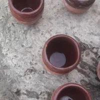 گلدونی کوچیک مخصوص کاکتوس|گل و گیاه طبیعی|احمدسرگوراب, |دیوار