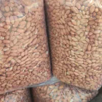 بادام زمینی تازه درجه یک ۳۳۰ تومان و درجه دو ۲۷۰