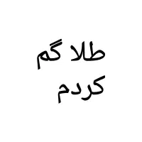 سکه طلا گم کرده ام