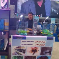 تولید وپرورش زالو در فارم کاملا بهداشتی  اصغری