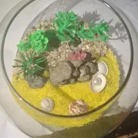 تنگ های تزئینی