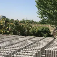 کارگر بلوک زن