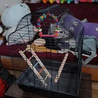 قفس بزرگ پرنده