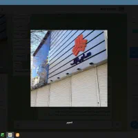 فروشنده و بازاریاب تلفنی