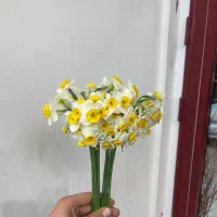 استخدام نیرو در گل فروشی