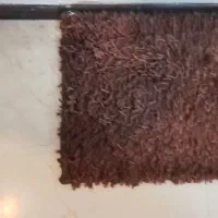 پادری