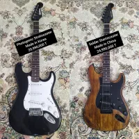 فروش انواع گیتار الکتریک (اقساط بدون بهره) +آموزش