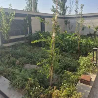 اپارتمان-ساماندهی-متراژ123-متر-مربع