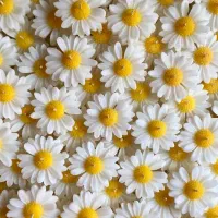 شمع|صنایع دستی و سایر لوازم تزئینی|دزفول, |دیوار