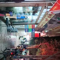 مغازه فروشی راسته ۱۷ شهریور شمالی بعد کوچه روحانی|فروش مغازه و غرفه|بجنورد, |دیوار