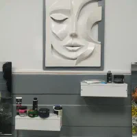 تابلو گچ بری مدرن|تابلو، نقاشی، عکس|پیرانشهر, |دیوار