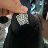 کتانی اورجینال ویتنام|کیف، کفش، کمربند|لنگرود, |دیوار