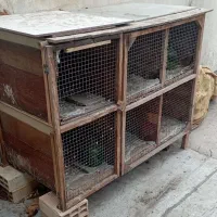 جفتگاه(لانه کبوتر)