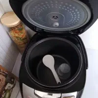 پلوپز چند کاره 8نفره|اجاق گاز و لوازم برقی پختوپز|نیشابور, جمهوری|دیوار