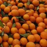 پرتقال خونی