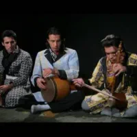 کمانچه حرفه ای(استریویی)