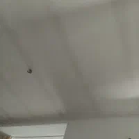 همخانه یا همخونه