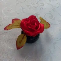 گلهای فینگلی ربانی فقط ۵۰ت