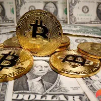 آموزش|فعالیت داوطلبانه|قم, بنیاد|دیوار