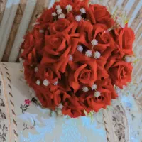 گل عروسی در حدنوع