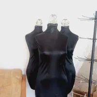 مایکن سوزن خور