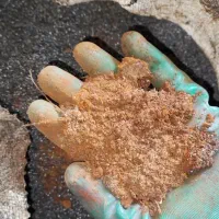 کود آهن برای درخت گردو