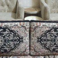 یک جفت پشتی سالم